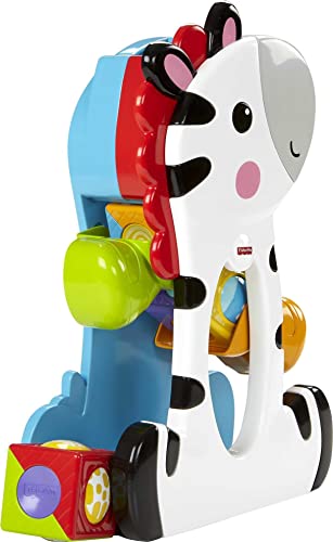 Foto 6 pulgar | Venta Internacional - Bloques Enrollables Toy Fisher-price Tumblin' Zebra Multicolor