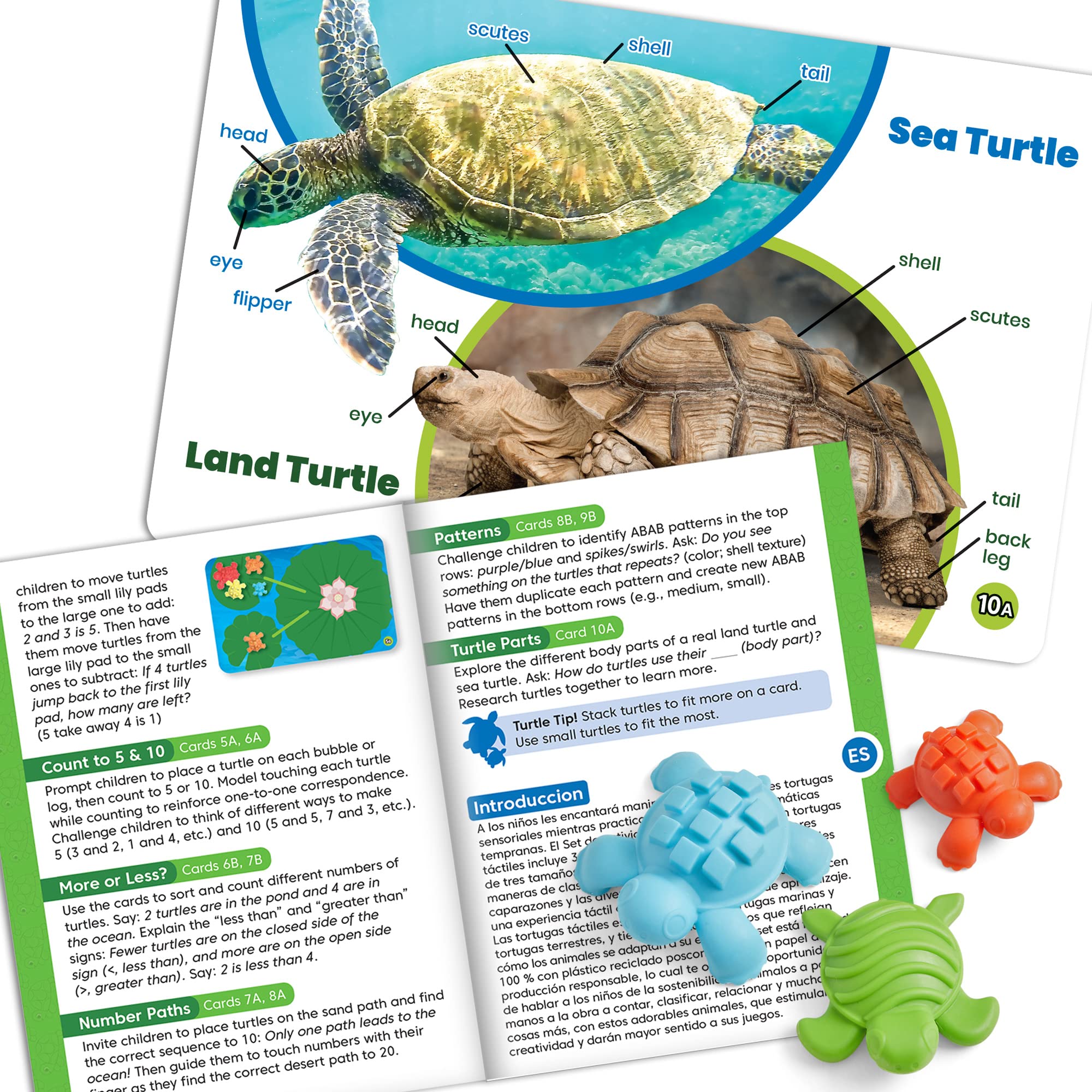 Foto 5 | Set de Actividades Matemáticas Hand2mind Tactile Turtles para Niños Pequeños - Venta Internacional