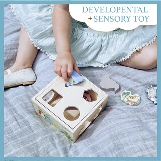 Foto 5 | Clasificador De Formas Que Los Niños Prefieren Beatrix Potter Peter Rabbit Wood - Venta Internacional.