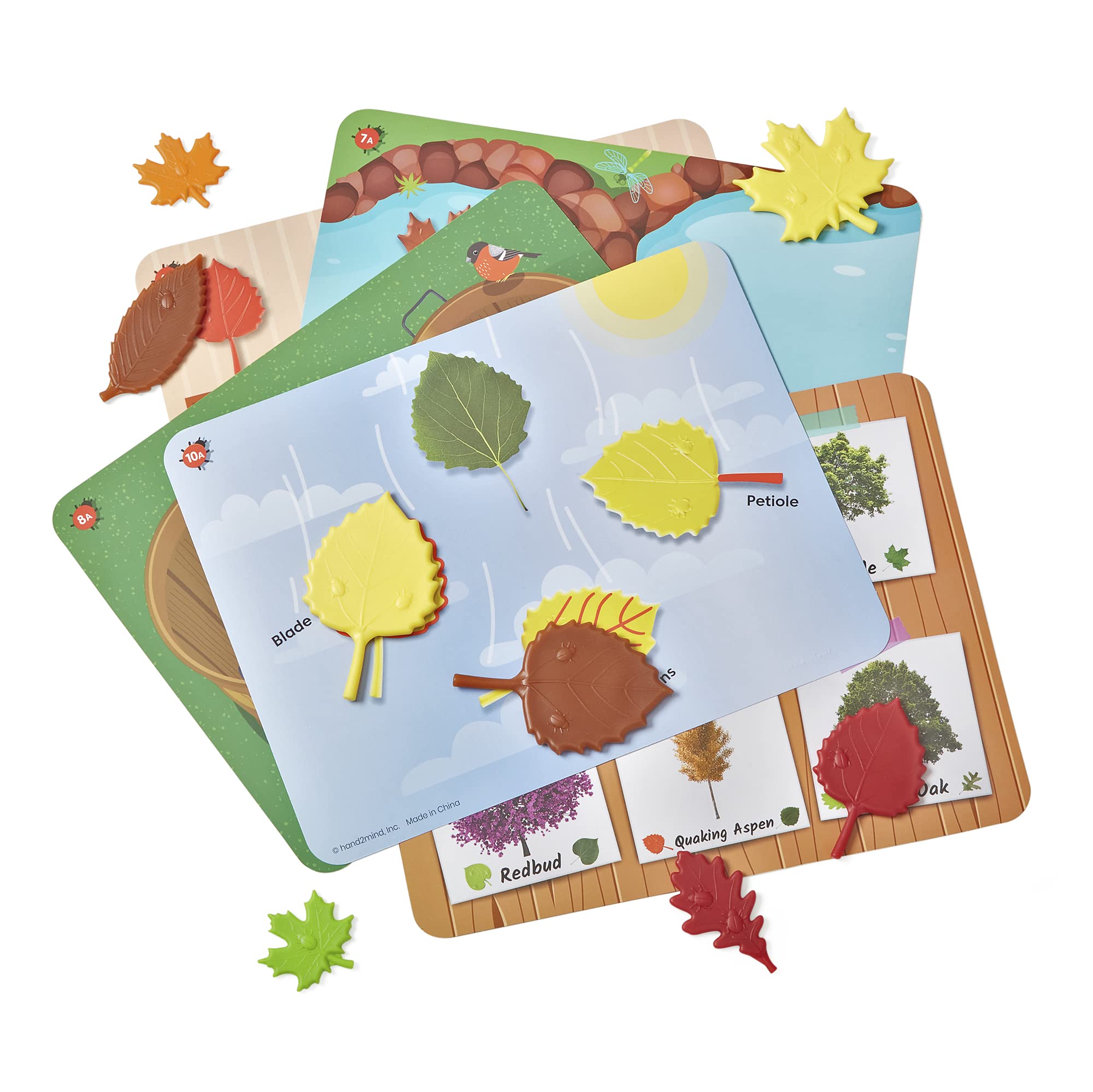 Foto 5 pulgar | Set De Actividades Matemáticas Hand2mind Sensory Leaves Para Niños Pequeños - Venta Internacional.