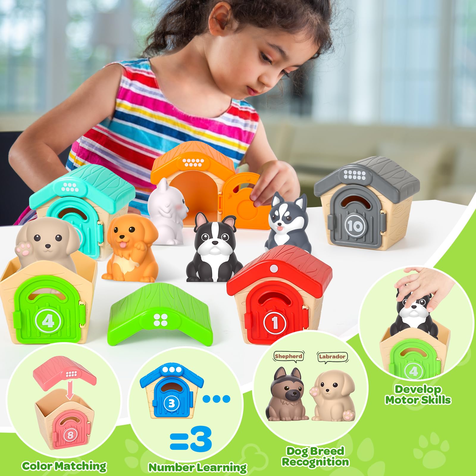 Foto 6 pulgar | Toddler Toys Letapapa, 20 Unidades, Para Perros De 1 A 3 Años, Con Conteo - Venta Internacional.