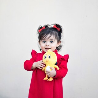 Foto 5 | Combo Peluches Oficiales Didacti Juegos Gallina Pintadita Y Pollito Amarillito