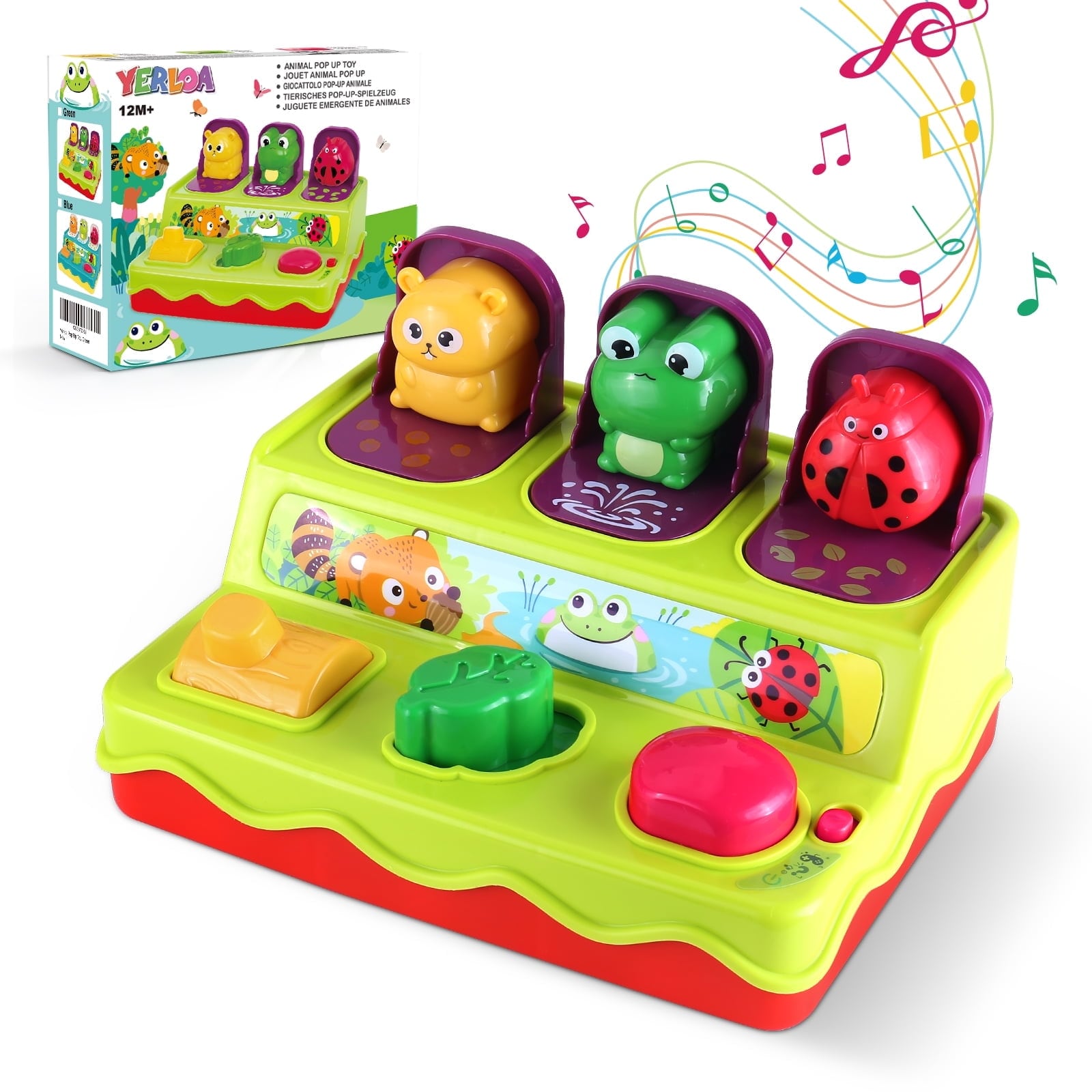 Juguete Montessori Musical color Verde para Niños de 1 Año o Más - Venta Internacional $916