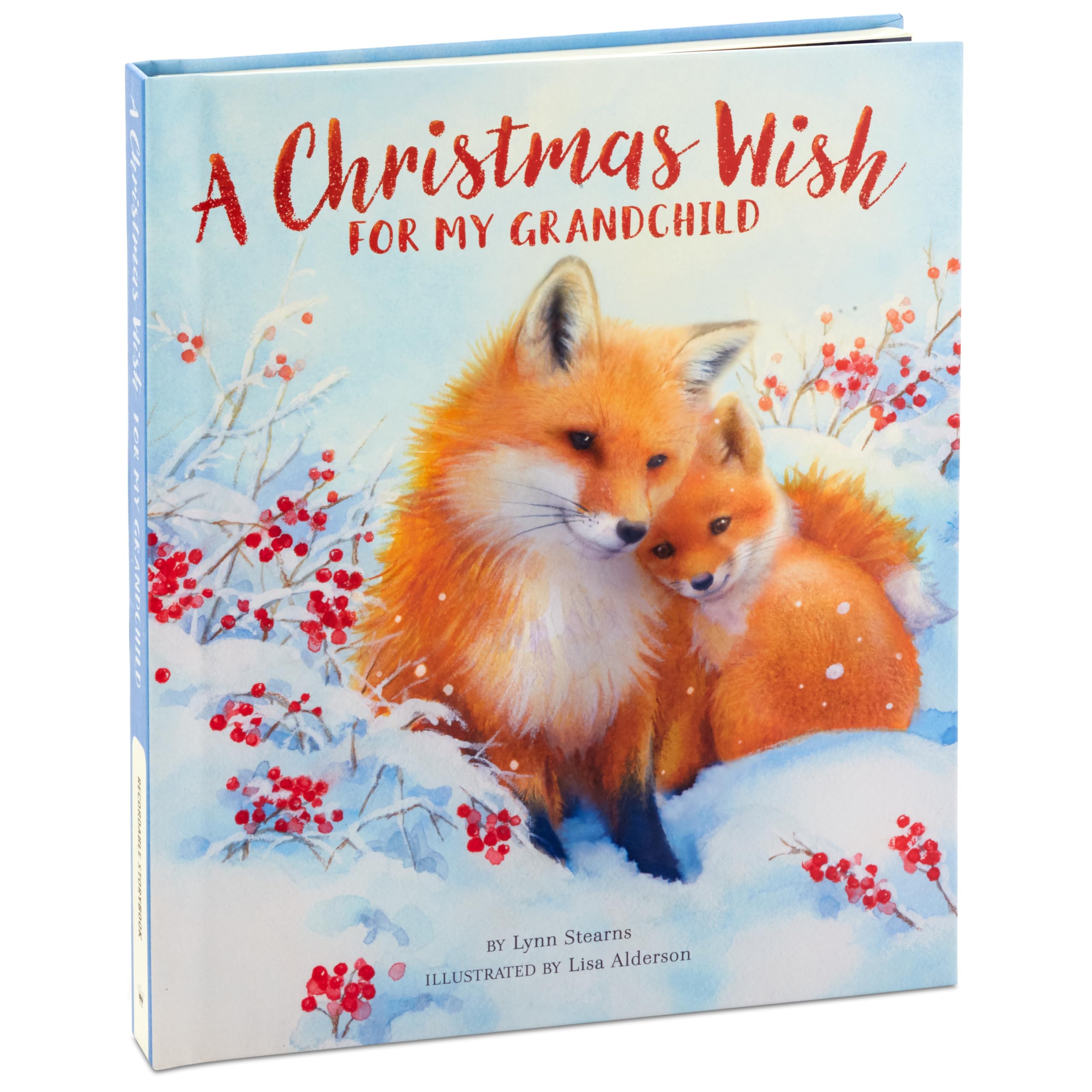 Foto 1 | Libro Grabable Hallmark Un Deseo Navideño Para Un Nieto - Venta Internacional.