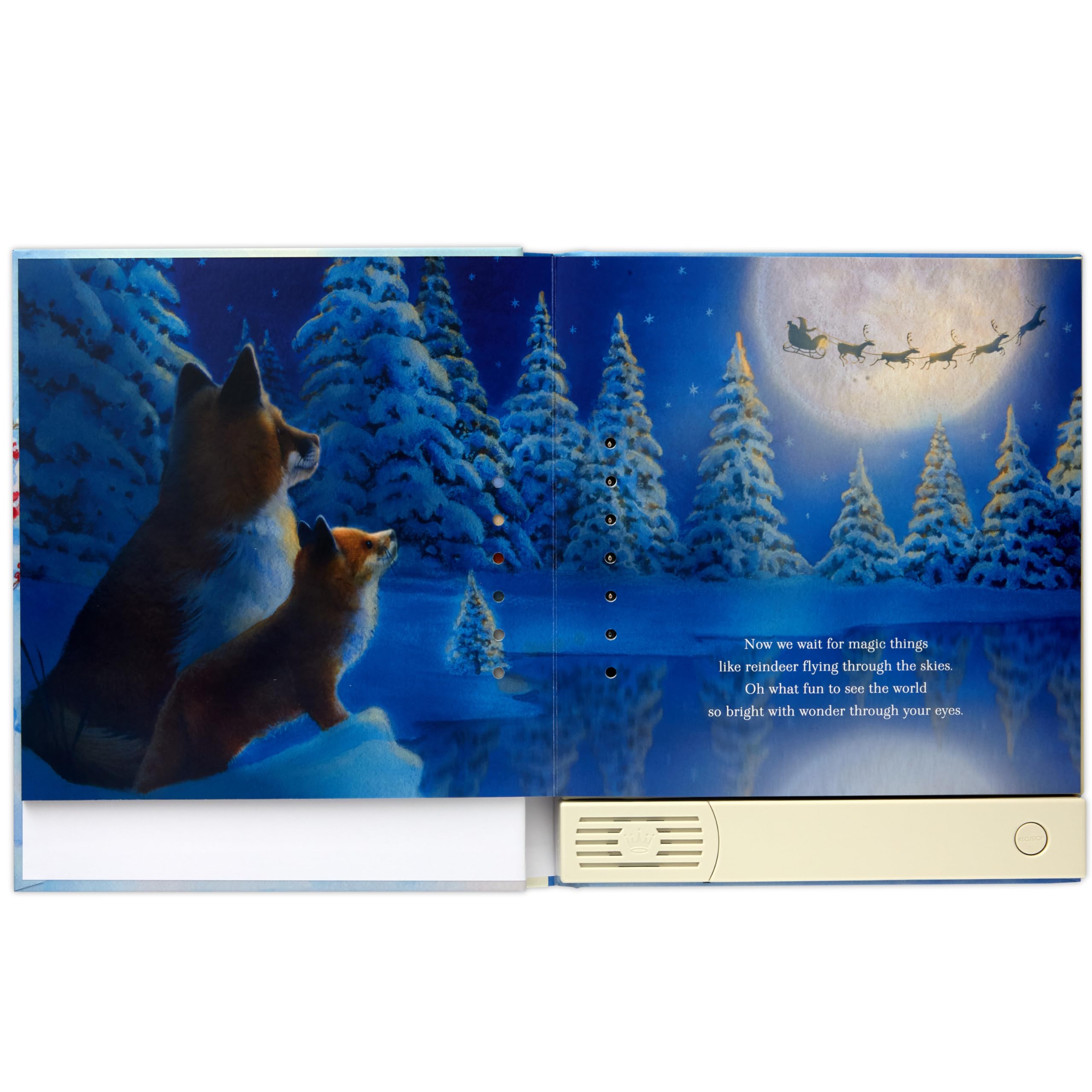 Foto 4 | Libro Grabable Hallmark Un Deseo Navideño Para Un Nieto - Venta Internacional.