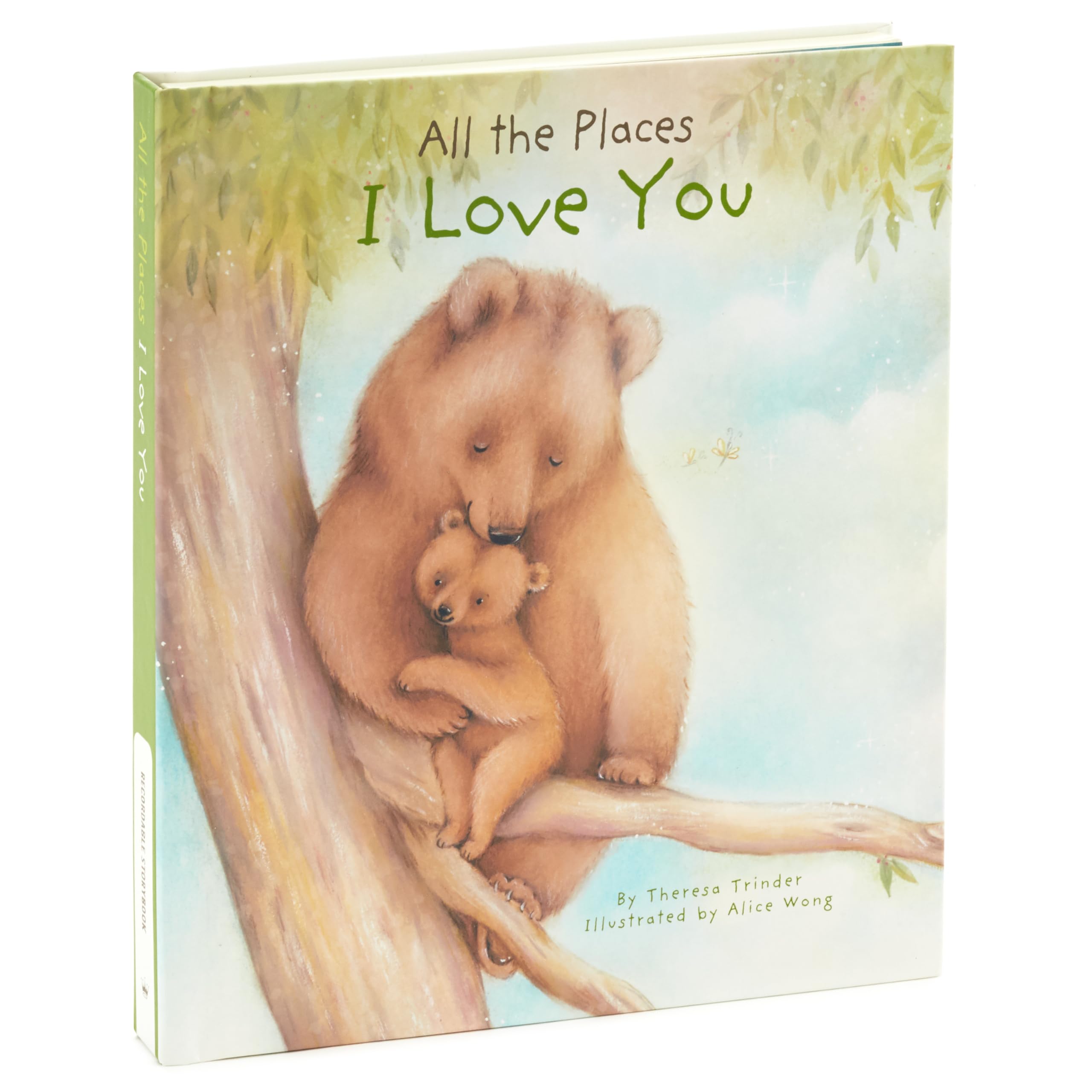 Foto 2 pulgar | Libro Grabable Hallmark All The Places I Love You Con Música - Venta Internacional.