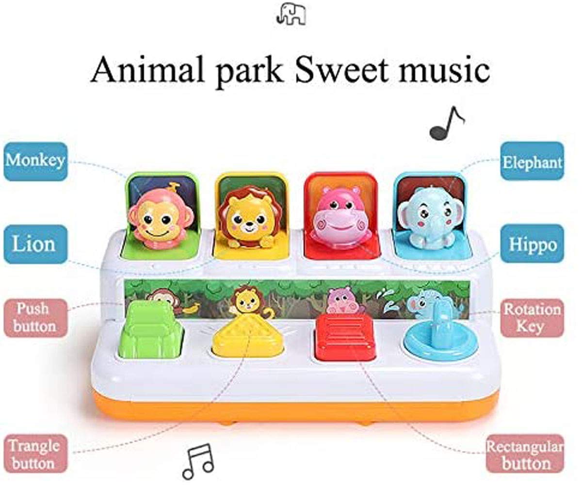 Foto 3 pulgar | Juguete Musical Desplegable Interactivo Ymdly Toys Animal Park - Venta Internacional