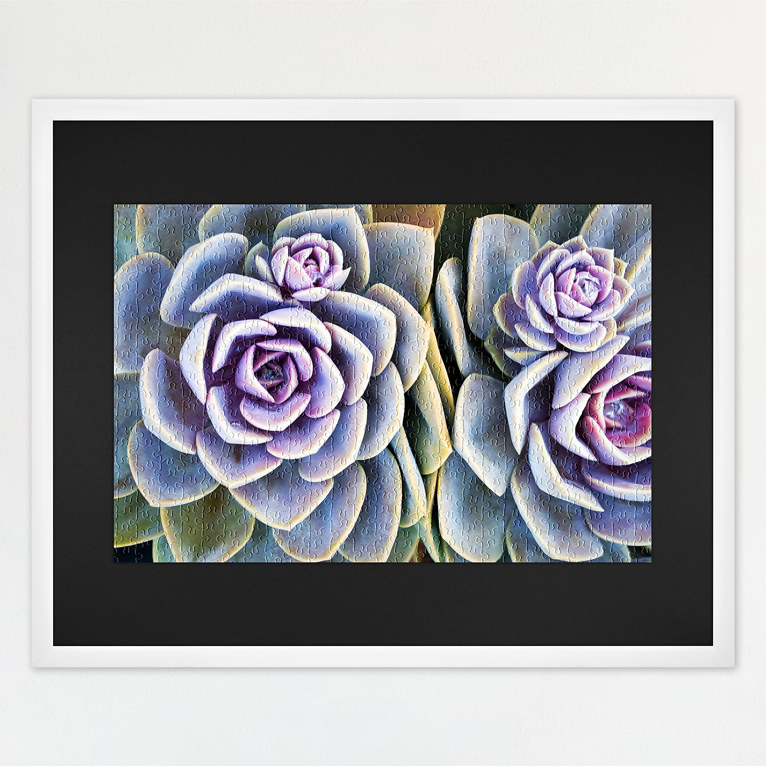 Foto 2 pulgar | Marco Mcs Para Rompecabezas Blanco De 60 X 75 Cm O Más Pequeño - Venta Internacional.