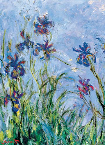 Foto 3 pulgar | Venta Internacional - Rompecabezas Eurographics Iris de Claude Monet de 1000 Piezas