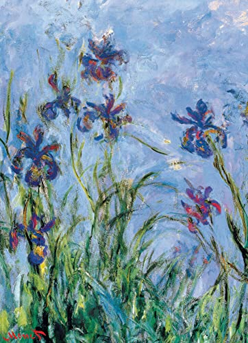 Foto 6 pulgar | Venta Internacional - Rompecabezas Eurographics Iris de Claude Monet de 1000 Piezas