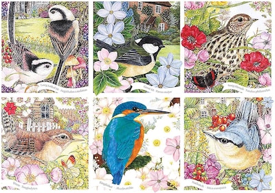Foto 1 | Venta Internacional - Rompecabezas Otter House Rspb Garden Birds 1000 Piezas