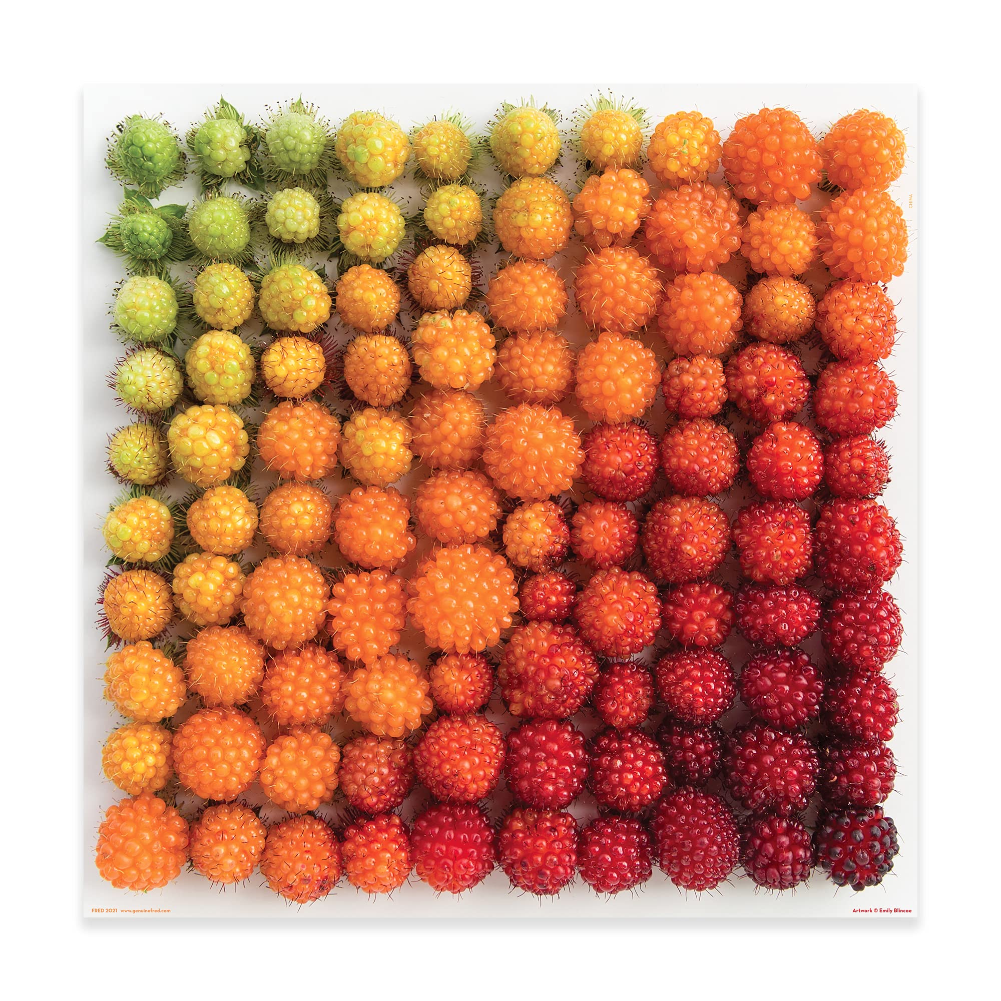 Foto 2 pulgar | Rompecabezas Fred Salmonberries Genuinos de Emily Blincoe 500 piezas 51 cm - Venta Internacional