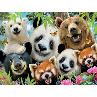 Foto 2 | Rompecabezas Ceaco Selfies Bear Essentials 550 Piezas - Venta Internacional.