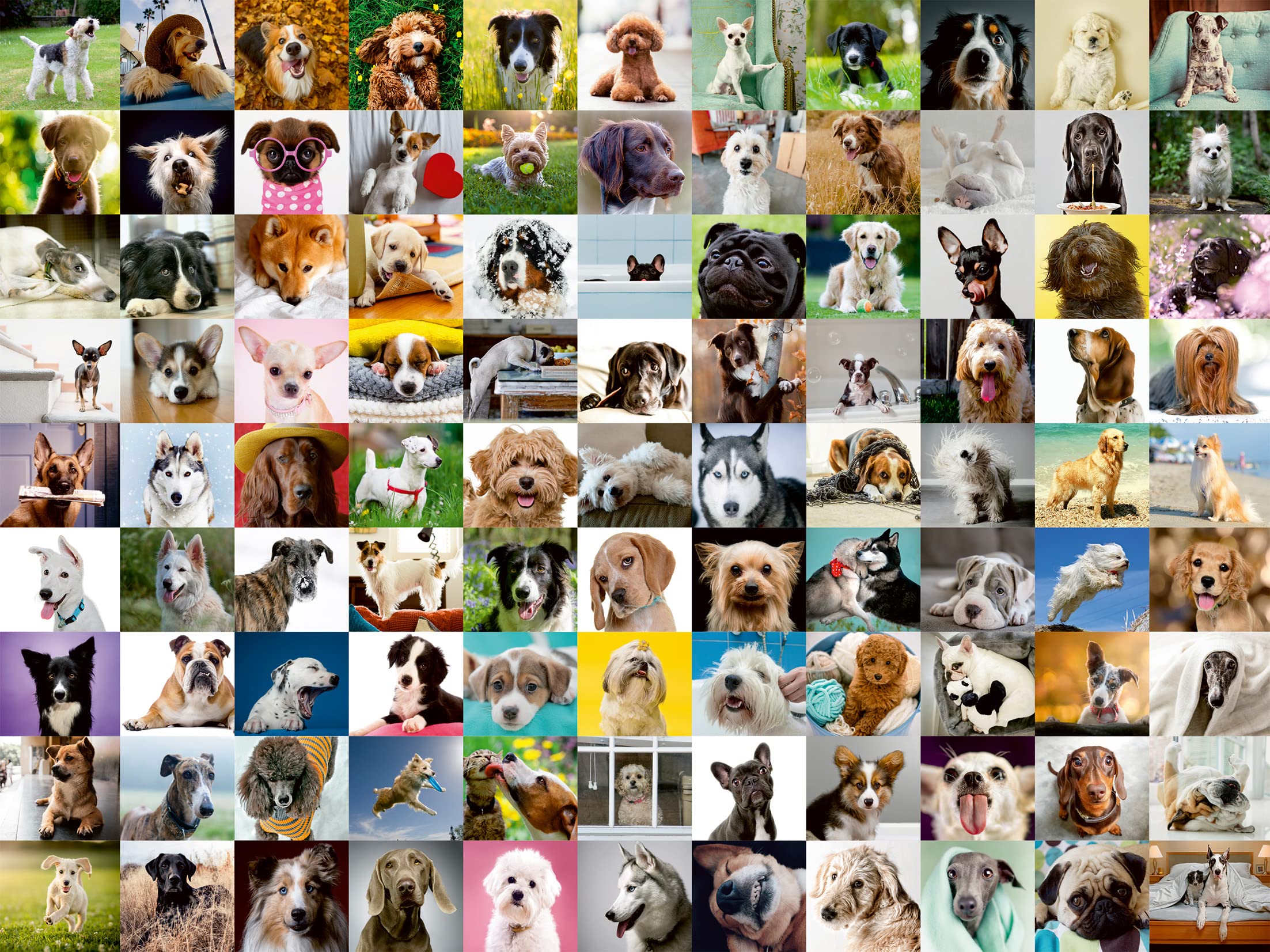 Foto 3 pulgar | Rompecabezas Ravensburger 99 Lovable Dogs 750 Piezas - Venta Internacional.