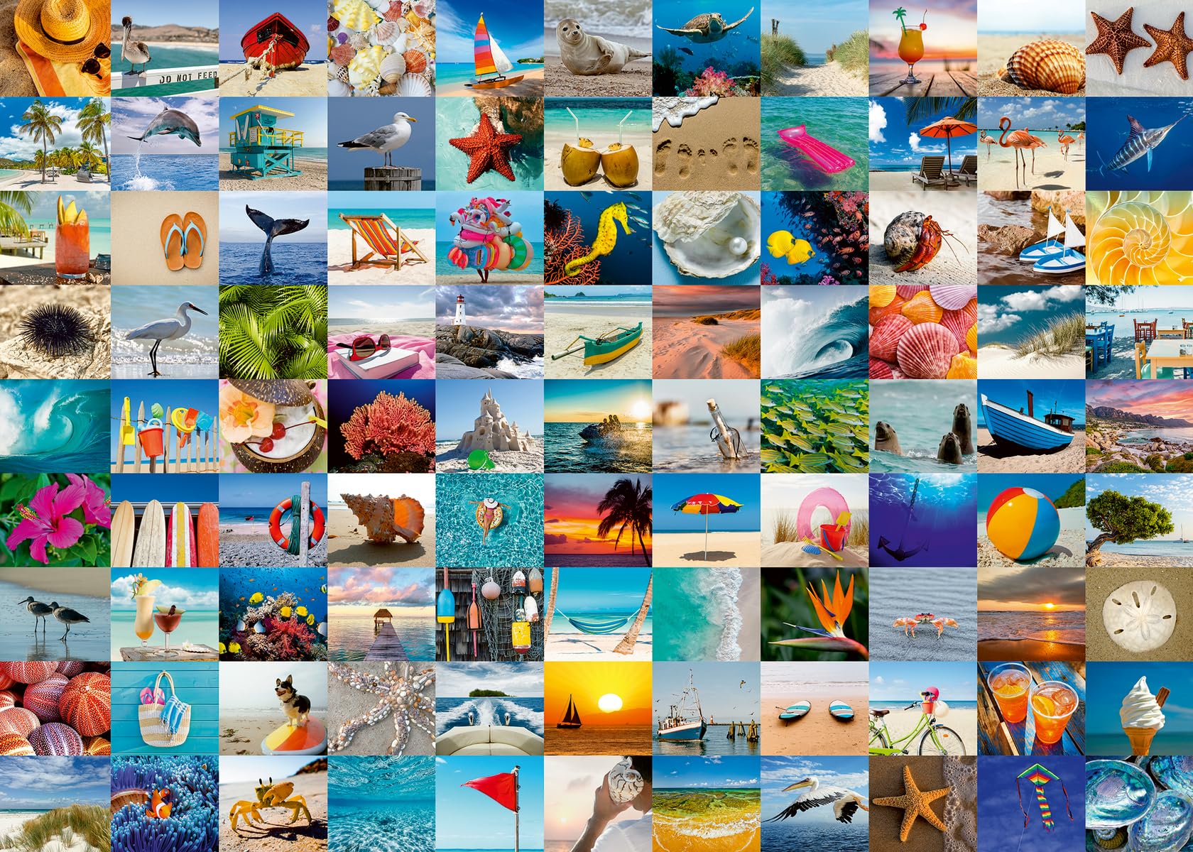 Rompecabezas Ravensburger 99 Seaside Moments De 1000 Piezas - Venta Internacional.