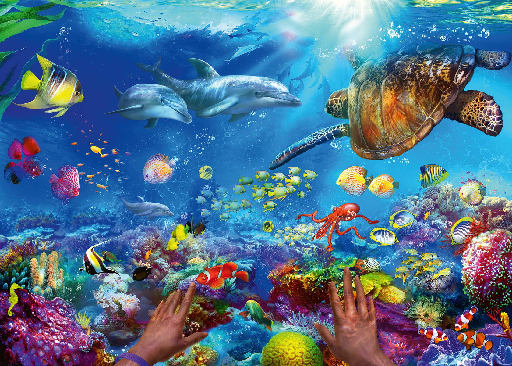 Puzzle Ravensburger Snorkeling De 1000 Piezas Para Adultos Y Niños - Venta Internacional.