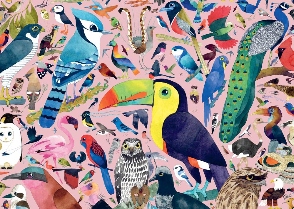Foto 3 pulgar | Rompecabezas Ravensburger Matt Sewell's Amazing Birds, 1000 Piezas - Venta Internacional.