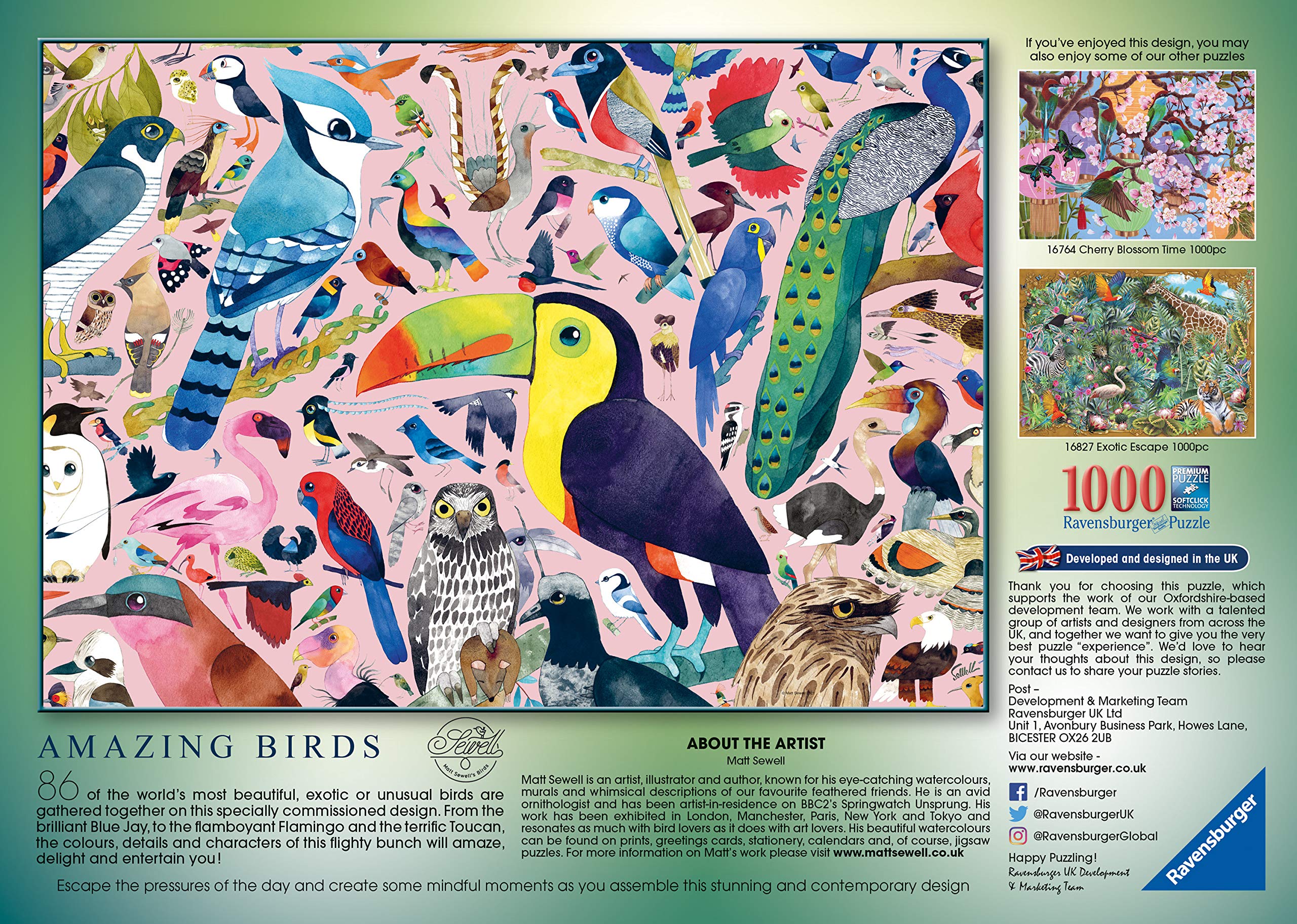 Foto 4 pulgar | Rompecabezas Ravensburger Matt Sewell's Amazing Birds, 1000 Piezas - Venta Internacional.