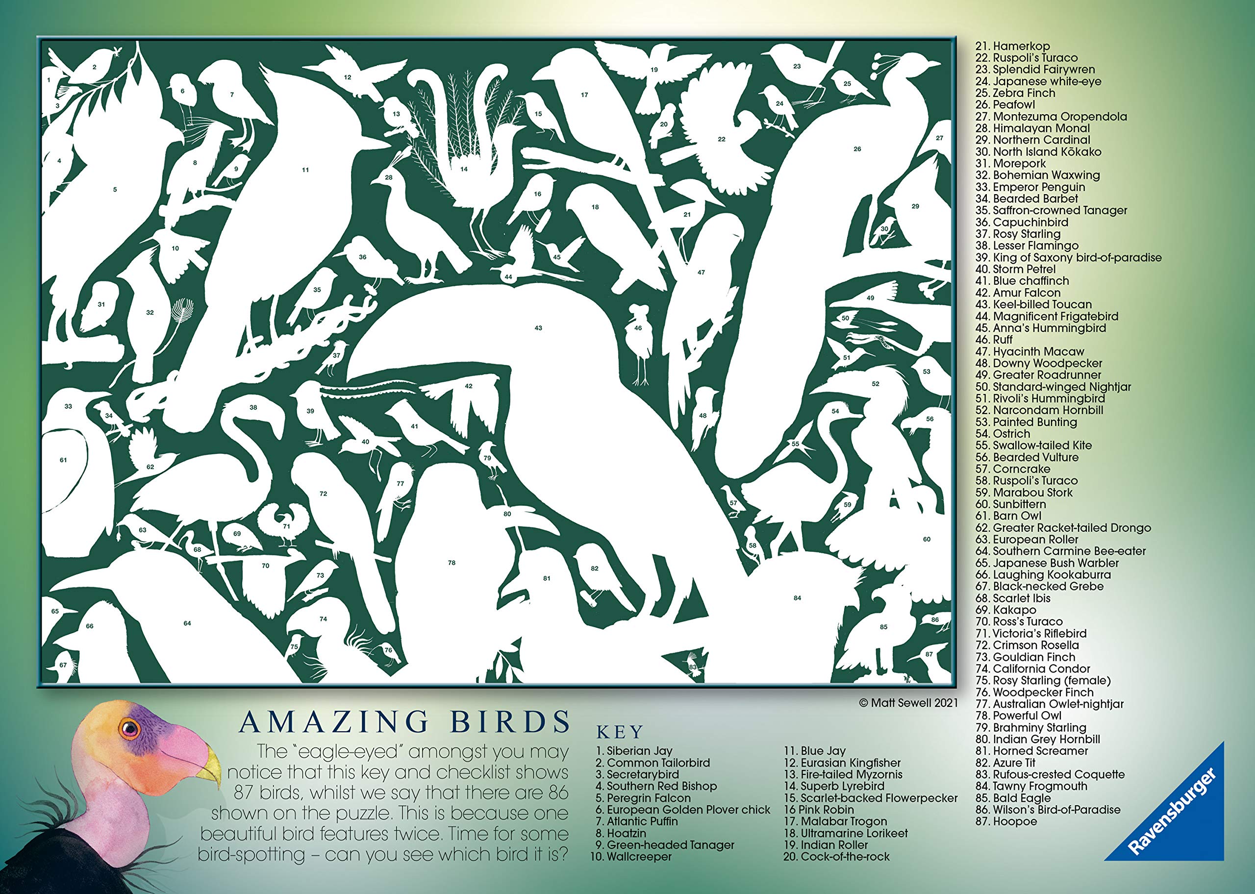 Foto 5 pulgar | Rompecabezas Ravensburger Matt Sewell's Amazing Birds, 1000 Piezas - Venta Internacional.