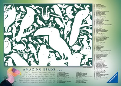 Foto 4 | Rompecabezas Ravensburger Matt Sewell's Amazing Birds, 1000 Piezas - Venta Internacional.