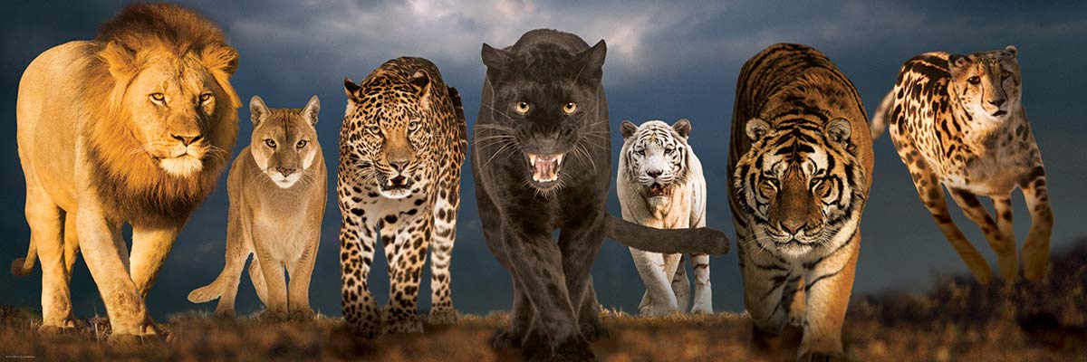 Foto 3 pulgar | Puzzle Eurographics Big Cats 1000 Piezas - Venta Internacional.