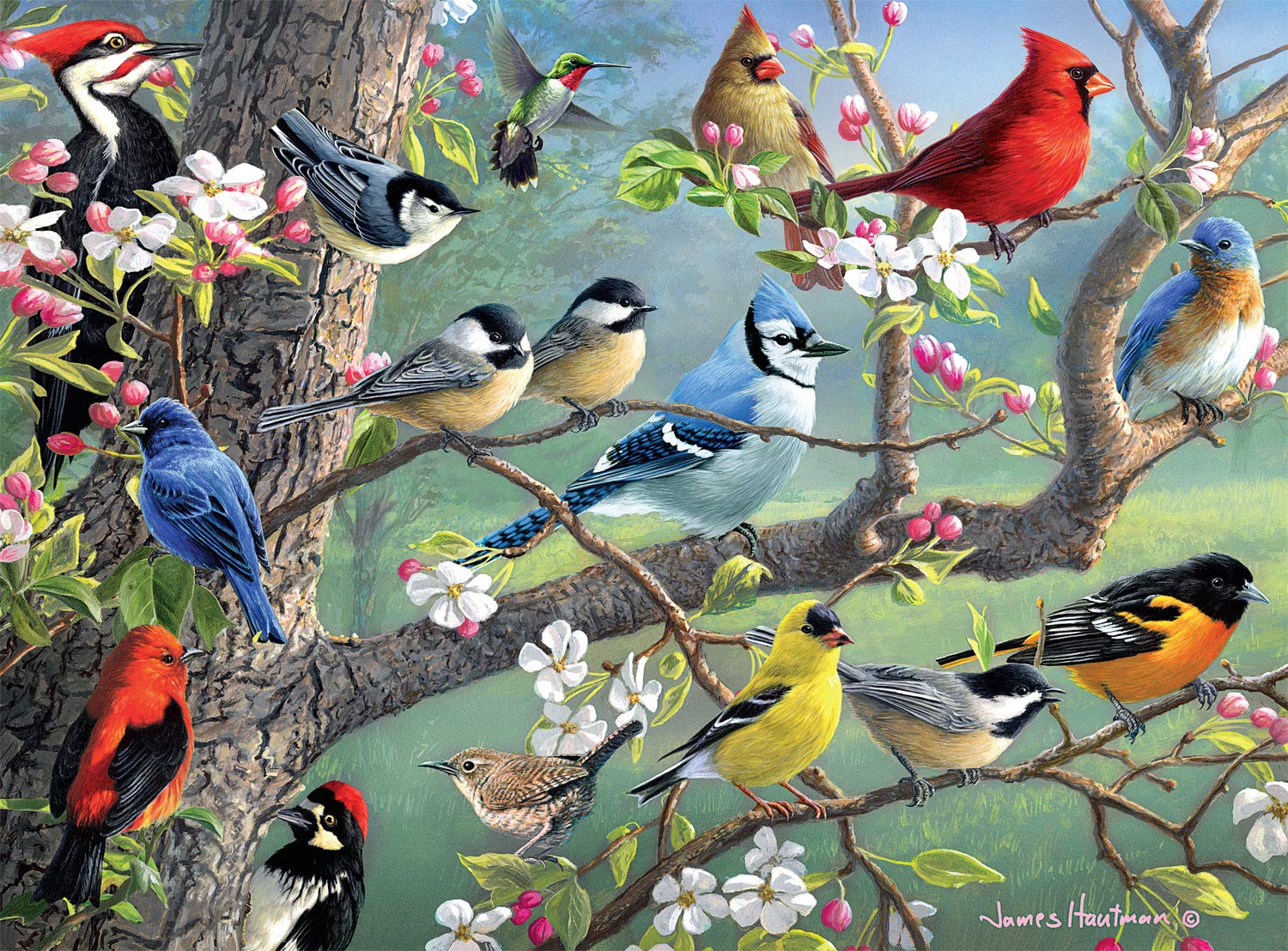 Rompecabezas Buffalo Games Hautman Brothers Birds 1000 Piezas - Venta Internacional.
