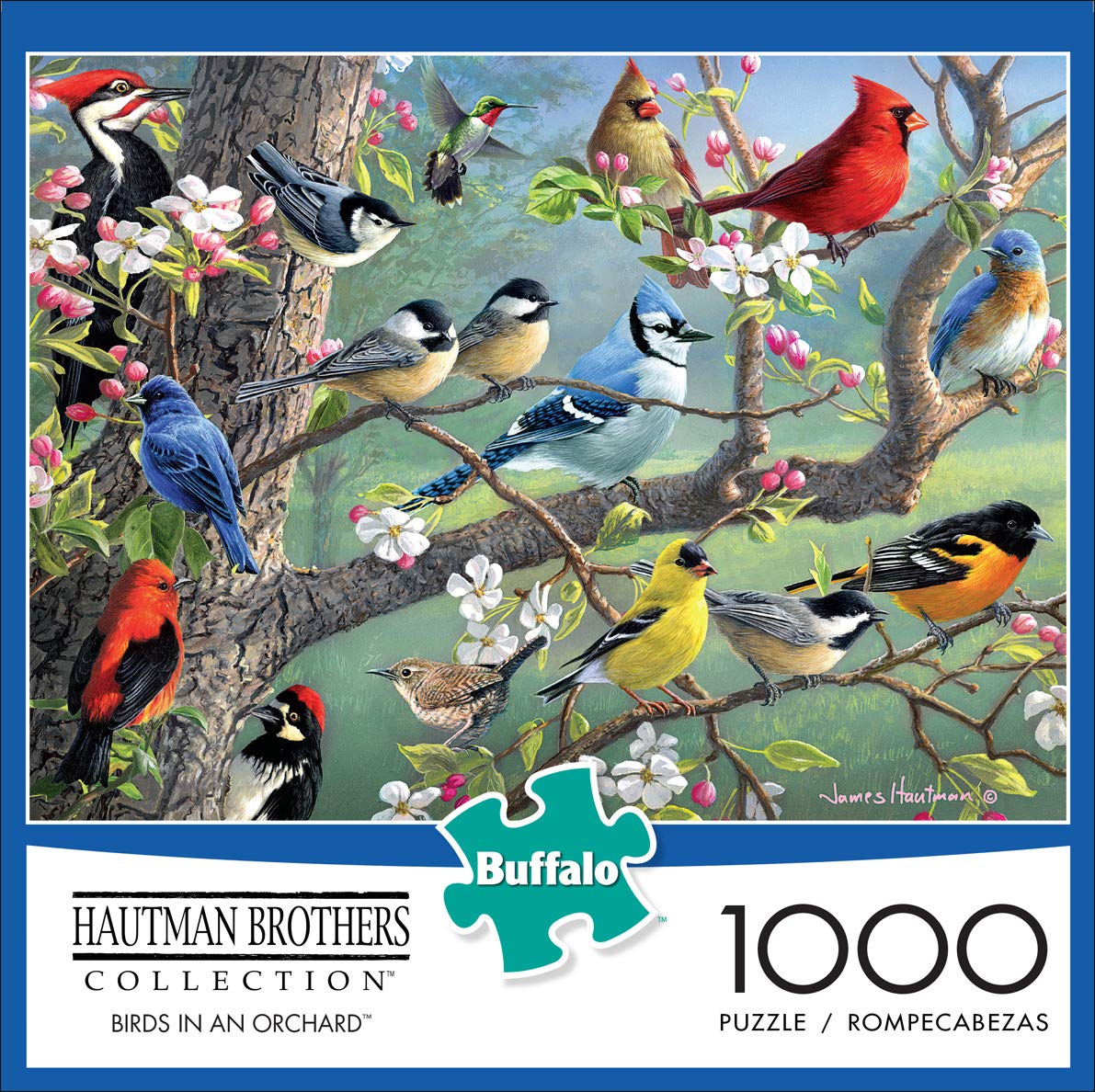 Foto 3 pulgar | Rompecabezas Buffalo Games Hautman Brothers Birds 1000 Piezas - Venta Internacional.