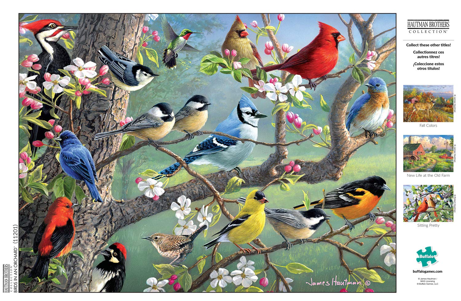 Foto 5 | Rompecabezas Buffalo Games Hautman Brothers Birds 1000 Piezas - Venta Internacional.