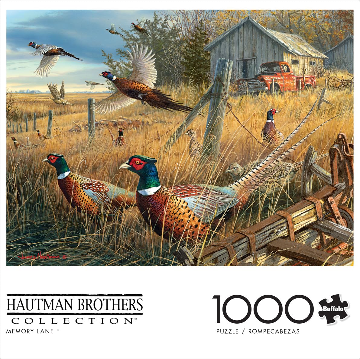 Foto 2 | Rompecabezas Buffalo Games Memory Lane 1000 Piezas - Venta Internacional.