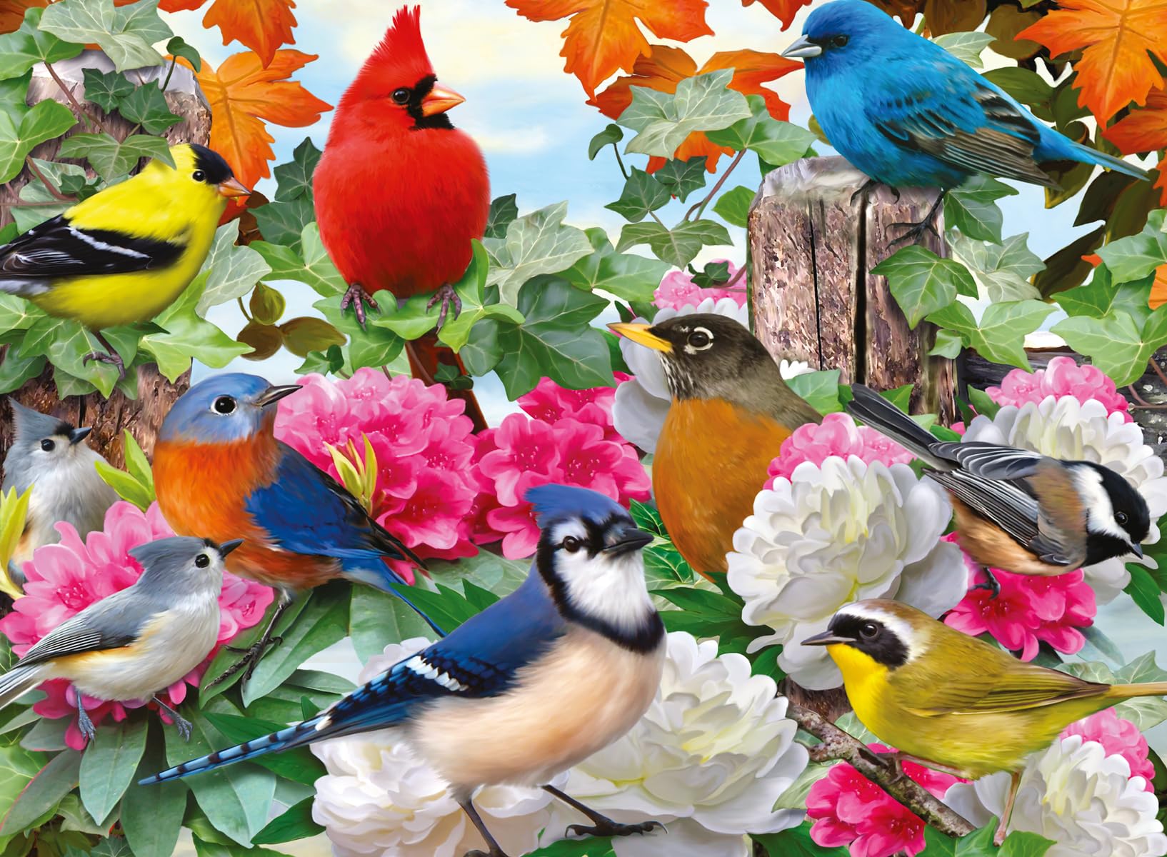 Foto 2 pulgar | Rompecabezas Ravensburger Garden Birds 500 Piezas - Venta Internacional.