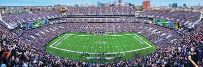 Foto 2 | Rompecabezas Masterpieces Nfl Baltimore Ravens 1000 Piezas - Venta Internacional.