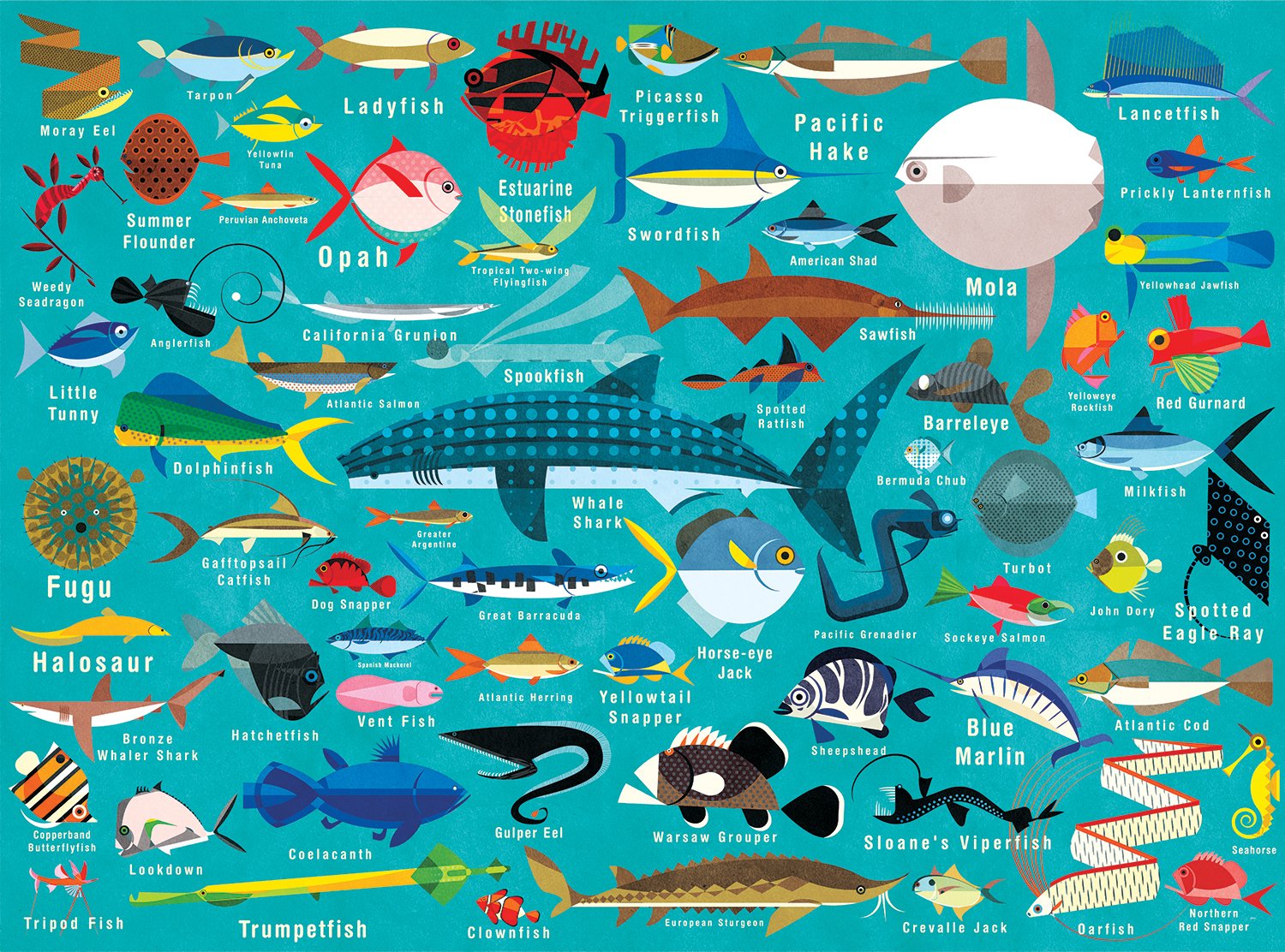 Rompecabezas Mudpuppy Ocean Life 1000 Piezas Para Adultos - Venta Internacional.
