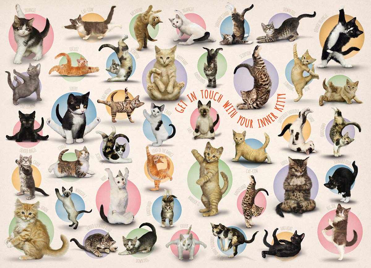 Foto 3 pulgar | Puzzle Eurographics Yoga Kittens 500 Piezas - Venta Internacional.