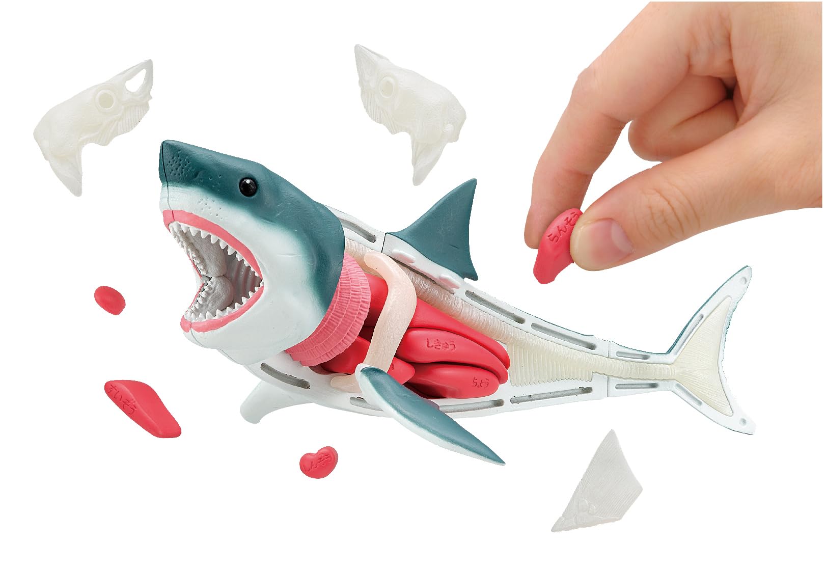Foto 2 pulgar | Puzzle Megahouse Great White Shark Kaitai De 15 Cm Con Base - Venta Internacional.