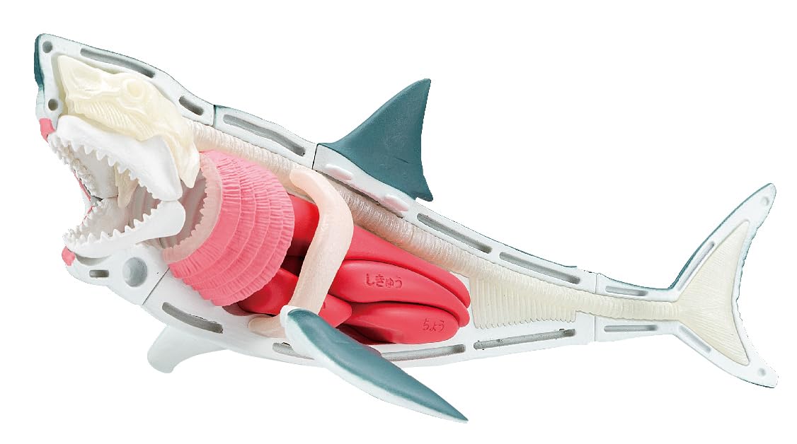 Foto 5 pulgar | Puzzle Megahouse Great White Shark Kaitai De 15 Cm Con Base - Venta Internacional.
