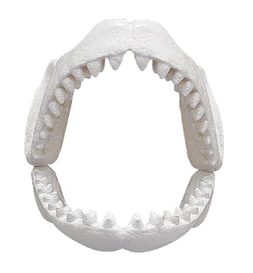Foto 7 pulgar | Puzzle Megahouse Great White Shark Kaitai De 15 Cm Con Base - Venta Internacional.