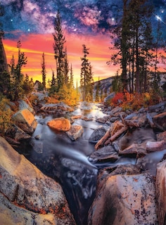 Foto 1 | Rompecabezas Buffalo Games Earthpix Forest Magic Hour 1000 Piezas - Venta Internacional.