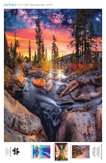 Foto 5 | Rompecabezas Buffalo Games Earthpix Forest Magic Hour 1000 Piezas - Venta Internacional.