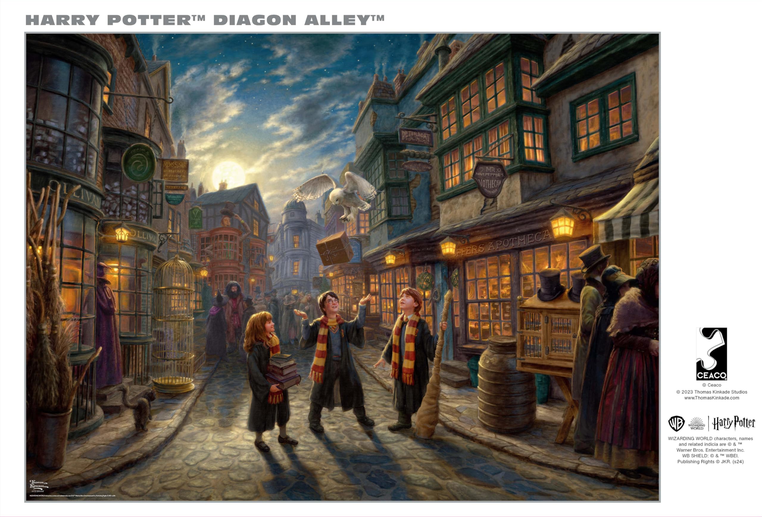 Foto 5 pulgar | Rompecabezas Buffalo Games Diagon Alley 1000 Piezas - Venta Internacional.
