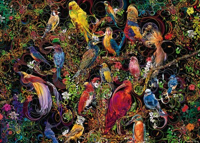 Foto 1 | Rompecabezas Ravensburger Birds Of Art 1000 Piezas - Venta Internacional.