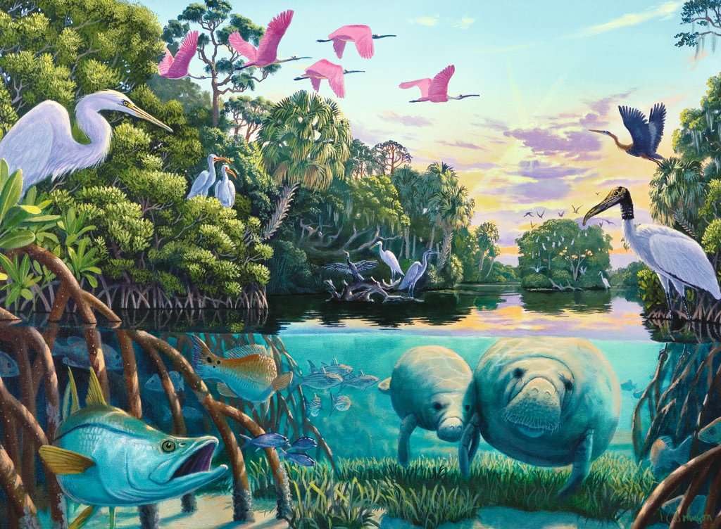 Foto 3 pulgar | Rompecabezas Ravensburger Manatee Moments, 500 Piezas - Venta Internacional.