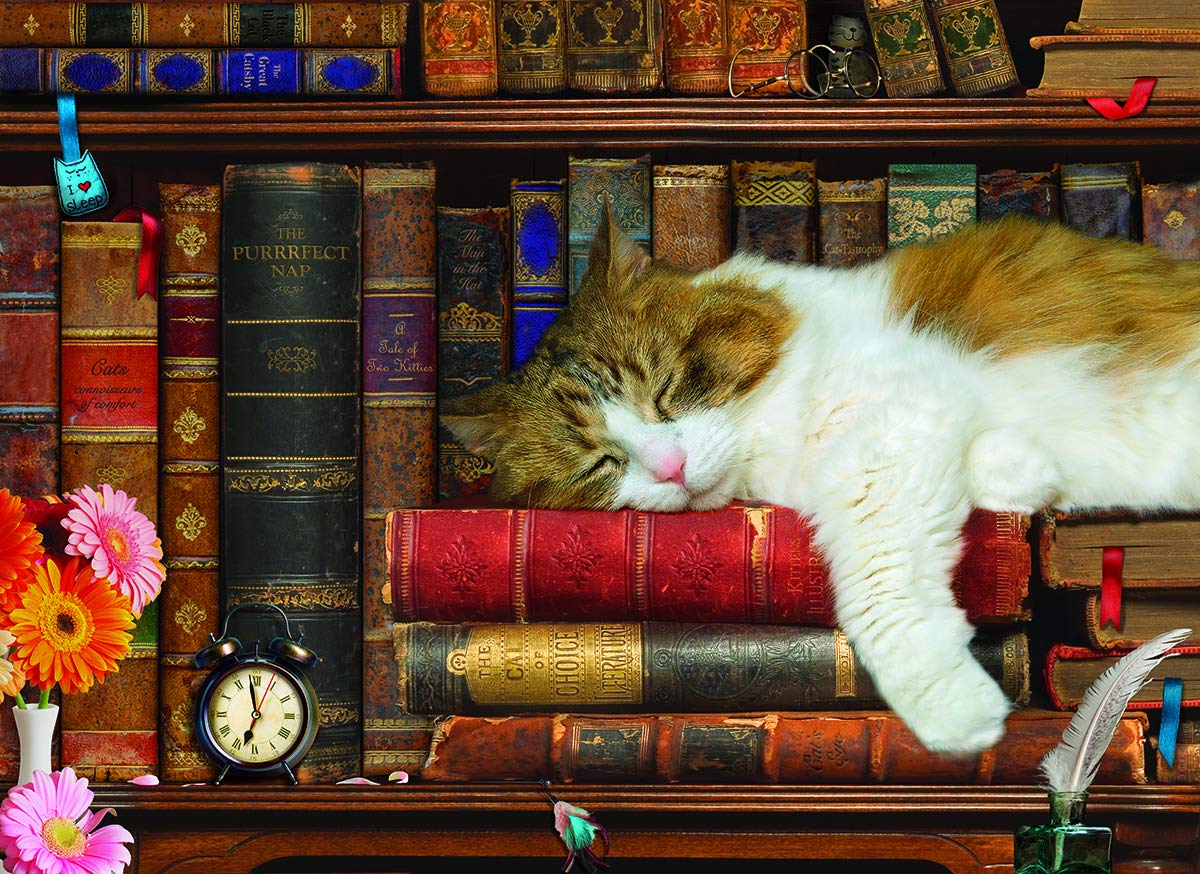 Foto 2 | Rompecabezas Eurographics The Cat Nap, 500 Piezas - Venta Internacional.