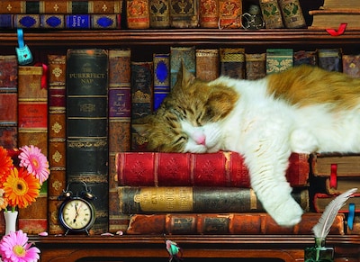 Foto 2 | Rompecabezas Eurographics The Cat Nap, 500 Piezas - Venta Internacional.