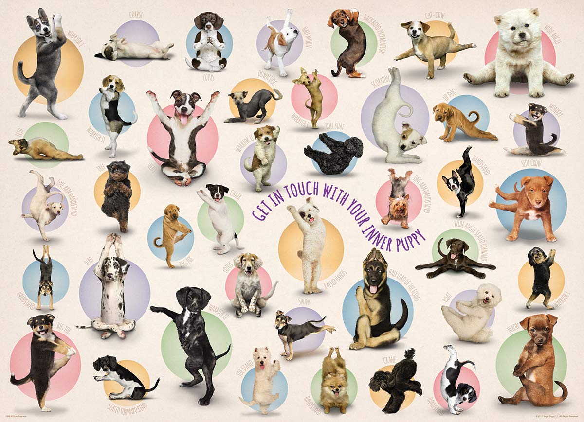 Foto 3 pulgar | Puzzle Eurographics Yoga Puppies 1000 Piezas - Venta Internacional.