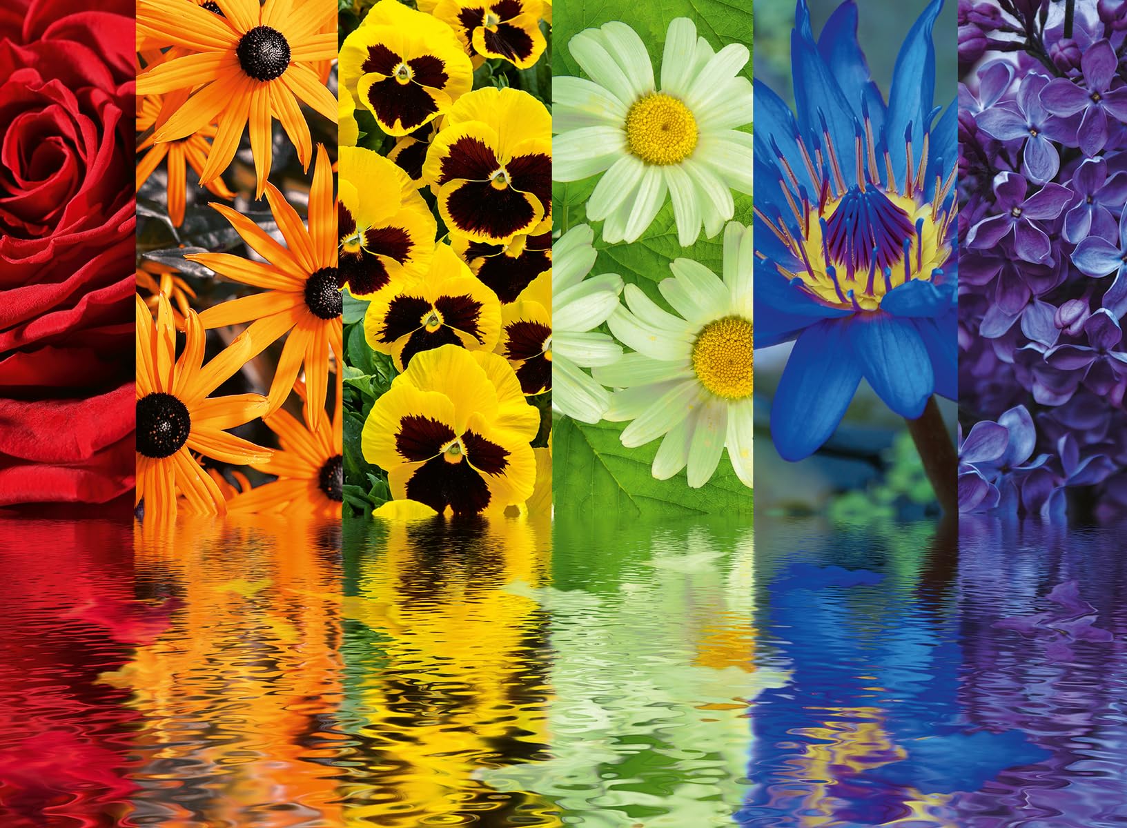 Rompecabezas Ravensburger Floral Reflections, 500 Piezas - Venta Internacional.