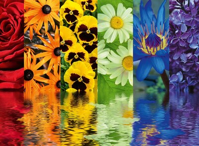 Foto 1 | Rompecabezas Ravensburger Floral Reflections, 500 Piezas - Venta Internacional.