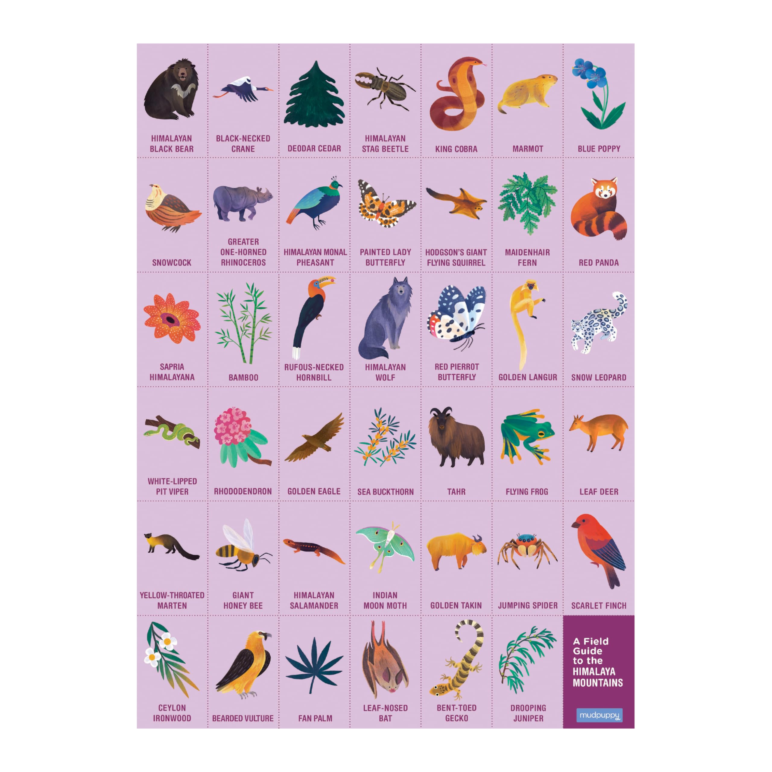 Foto 4 pulgar | Puzzle Mudpuppy In The Mountains Busca Y Encuentra 64 Piezas 4+ - Venta Internacional.