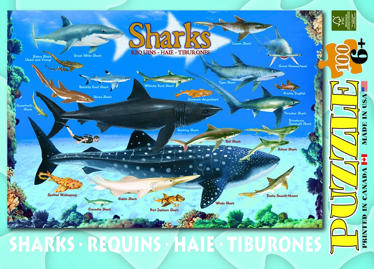 Foto 5 pulgar | Rompecabezas Eurographics Sharks 100 Piezas - Venta Internacional.