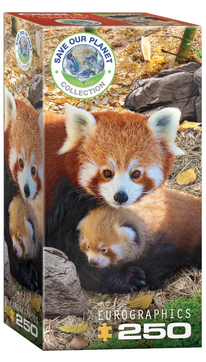 Puzzle Eurographics Con Pandas Rojos, 250 Piezas, 13 X 19 Cm - Venta Internacional.