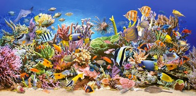Foto 2 | Puzzle Castorland Underwater Life De 4000 Piezas Con 138 X 67 Cm - Venta Internacional.